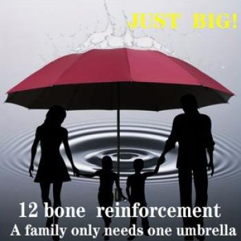 1 Windproond Waterproof Folding Umbrella, 12 Reinforced Polyester Umbrella Covers Iron Brackets,