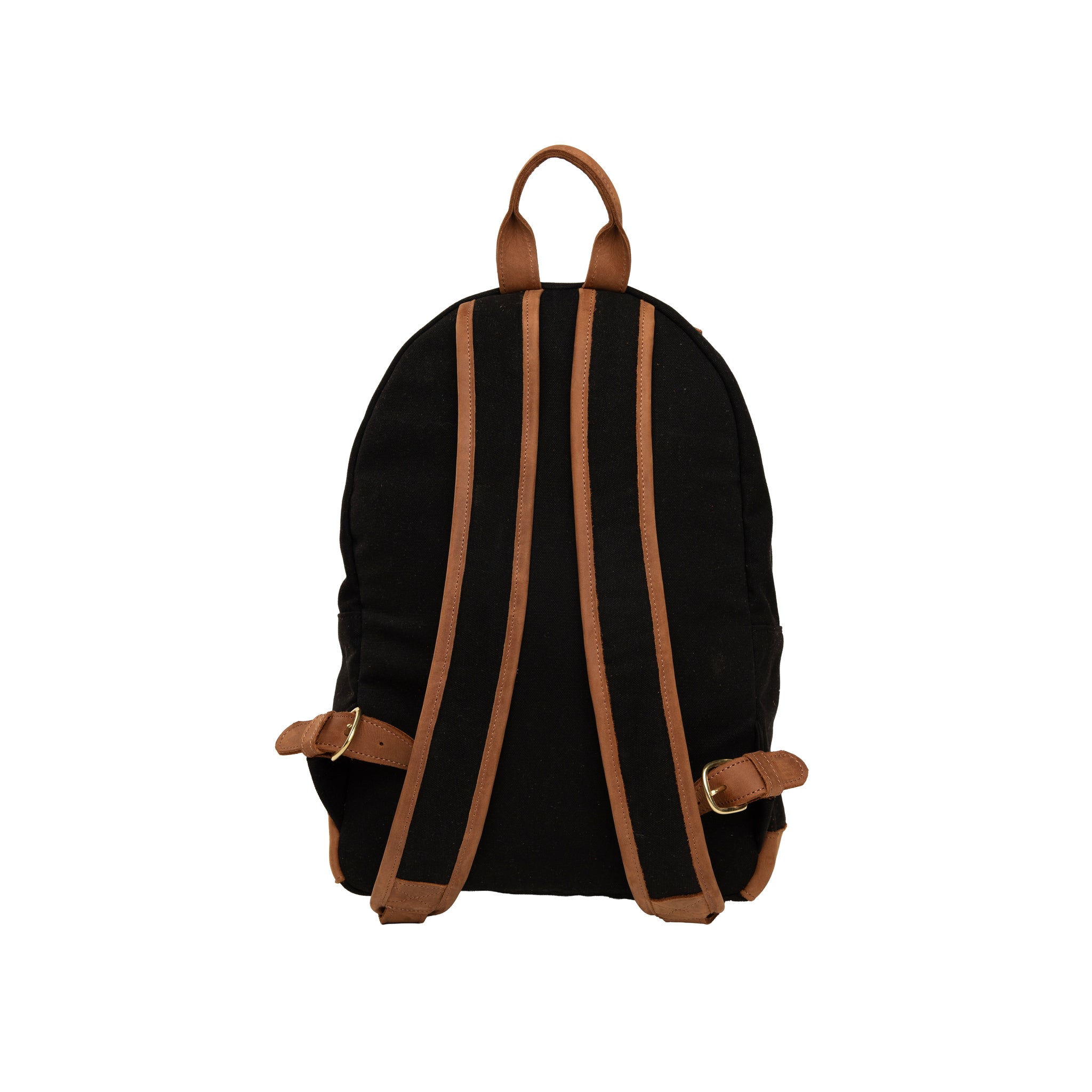 Canvas Hillary Backpack x Lion Guardians — view 2