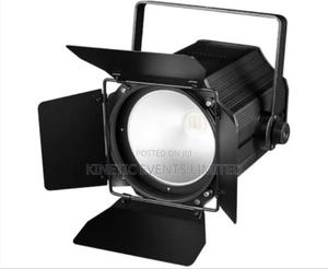 Concerts Festivals Cob Led Par Lights