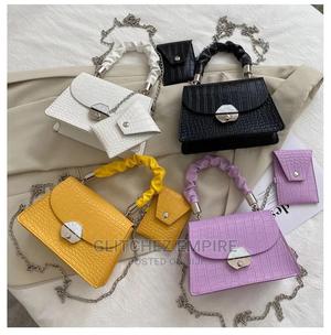 Exquisite Designer Mini Bag