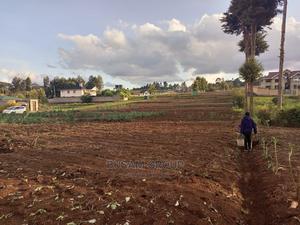 Kabuku Limuru 50 by 100 Plots - Ready Title Available