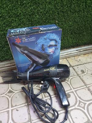 Most Appropriate 1700w Zeriotti Blow Dry
