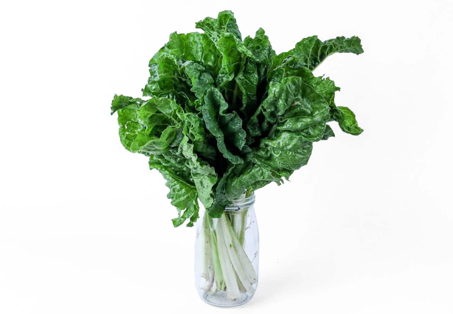 Organic Spinach - 250g (Bunch)