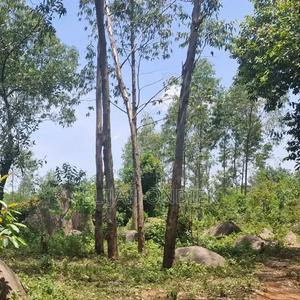 Prime 4 Acres of Land at Daraja Mbili Hillside