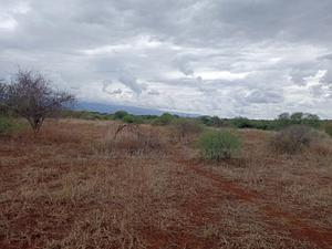 Prime Distress Deal! 58 Acres in Kimana,Amboseli NP Next to Sopa Lodge — view 2